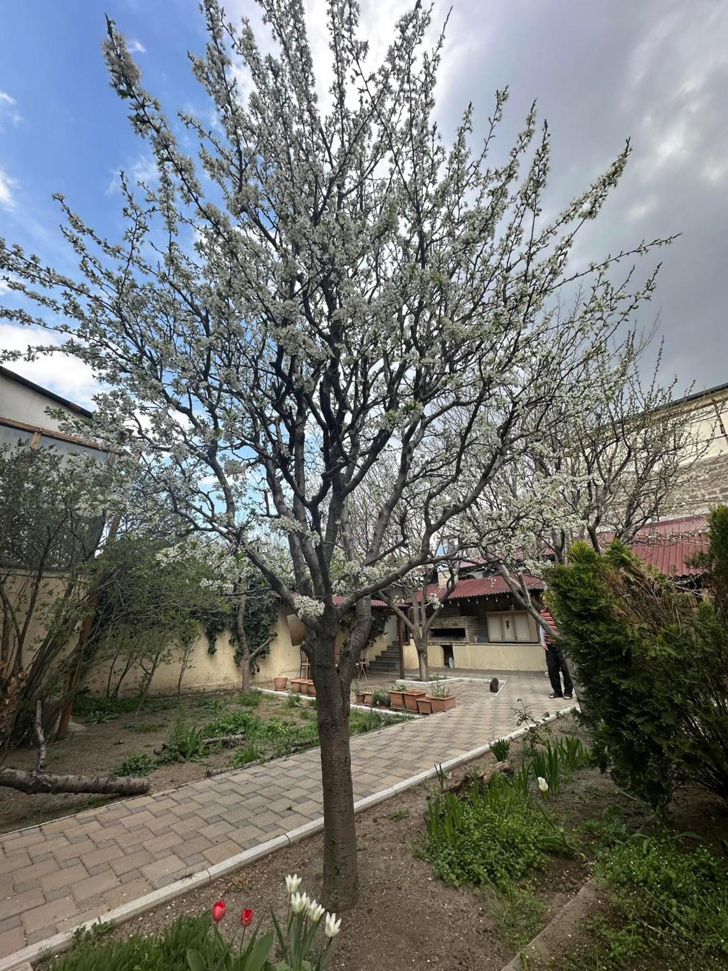 Popock City Center Erywań Zewnętrze zdjęcie